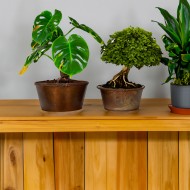 Komplet Doniczek Misa w Stylu Loft – Idealne na Bonsai i Rośliny Domowe