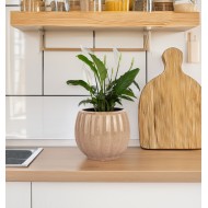 Beżowa Doniczka Ceramiczna z Połyskiem – Elegancka i Funkcjonalna