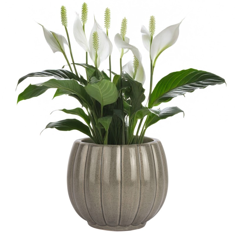 Szara Doniczka Ceramiczna z Połyskiem – Wyjątkowy Kształt i Styl