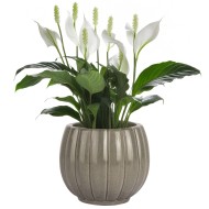 Szara Doniczka Ceramiczna z Połyskiem – Wyjątkowy Kształt i Styl