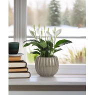 Szara Doniczka Ceramiczna z Połyskiem – Wyjątkowy Kształt i Styl