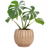 Beżowa Doniczka Ceramiczna z Połyskiem – Styl i Wysoka Jakość