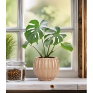 Beżowa Doniczka Ceramiczna z Połyskiem – Styl i Wysoka Jakość