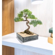 Kwadratowa Doniczka na Bonsai – Imitacja Kamienia, 25x25 cm