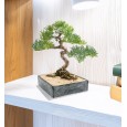 Kwadratowa Doniczka na Bonsai – Imitacja Kamienia, 25x25 cm