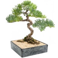 Kwadratowa Doniczka na Bonsai – Imitacja Kamienia, 25x25 cm