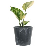 Szara Doniczka z Imitacją Kamienia – Nowoczesny Design