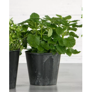 Szara Doniczka z Imitacją Kamienia – Nowoczesny Design