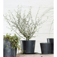 Szara Doniczka z Imitacją Kamienia – Nowoczesny Design