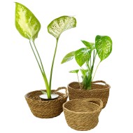 Zestaw Doniczek w Stylu Boho – Naturalne i Trwałe | Idealne Osłonki na Rośliny