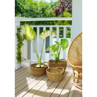 Zestaw Doniczek w Stylu Boho – Naturalne i Trwałe | Idealne Osłonki na Rośliny