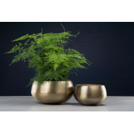 Złote metalowe doniczki – elegancki komplet 2 osłonek