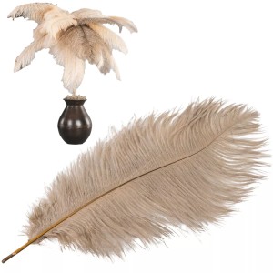 Beżowe strusie pióro dekoracyjne – naturalny akcent do wnętrz