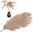 Beżowe strusie pióro dekoracyjne – naturalny akcent do wnętrz