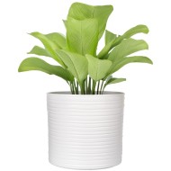 Biała doniczka ceramiczna – matowa i stylowa dekoracja do wnętrz