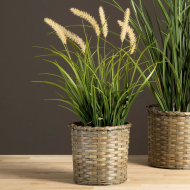 Sztuczna trawa dekoracyjna 56 cm z puszystymi kłosami, w doniczce, realistyczna ozdoba