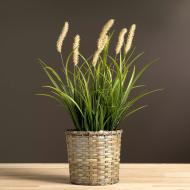 Sztuczna trawa dekoracyjna 56 cm z puszystymi kłosami, w doniczce, realistyczna ozdoba