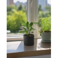 Donica Maria ceramiczna czarny mat |  Wysyłka w 24h!