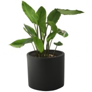 Donica Maria ceramiczna czarny mat |  Wysyłka w 24h!