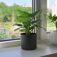 Donica Maria ceramika czarna |  Wysyłka w 24h!