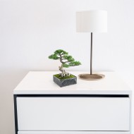 Doniczka na bonsai 15x15 cm, imitacja kamienia, z recyklingu