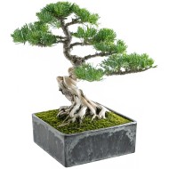 Doniczka na bonsai 15x15 cm, imitacja kamienia, z recyklingu