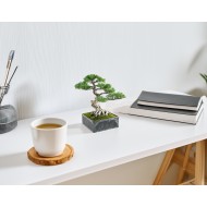 Doniczka na bonsai 15x15 cm, imitacja kamienia, z recyklingu