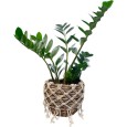Doniczka boho z makramą | Naturalna doniczka z trawy morskiej