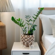 Doniczka boho z makramą | Naturalna doniczka z trawy morskiej