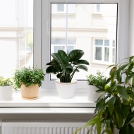 Doniczka boho biała ze złotym wykończeniem | Naturalna doniczka z trawy morskiej