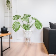 Doniczka bambusowa biała na nóżkach duża 56 cm