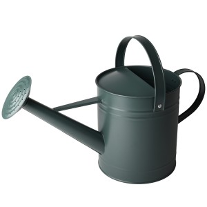 Konewka ogrodowa 5L zielona matowa – metalowa z sitkiem do podlewania