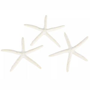 Komplet 3 figurek dekoracyjnych rozgwiazda biała styl marynistyczny