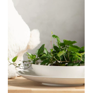 Misa ogrodowa jasnoszara z recyklingu 30 cm do poidełka lub dekoracji