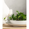 Misa ogrodowa jasnoszara z recyklingu 30 cm do poidełka lub dekoracji