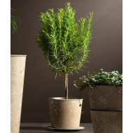 Podstawka beżowa 15 cm z imitacją piaskowca z tworzywa z recyklingu