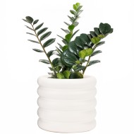 Doniczka ceramiczna biała matowa 15x12,5 cm nowoczesna do roślin domowych