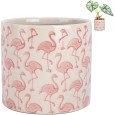 Doniczka ceramiczna biało-różowa 14,5x13 cm we flamingi dekoracyjna do roślin domowych