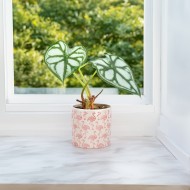 Doniczka ceramiczna biało-różowa 14,5x13 cm we flamingi dekoracyjna do roślin domowych