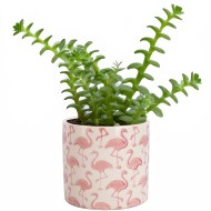 Doniczka ceramiczna biało-różowa 12 cm we flamingi dekoracyjna do roślin domowych