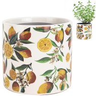 Doniczka ceramiczna biała w cytryny 14x13 cm dekoracyjna do roślin domowych