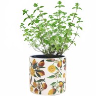 Doniczka ceramiczna biała w cytryny 14x13 cm dekoracyjna do roślin domowych