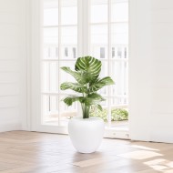 Doniczka ceramiczna biała matowa 27x24 cm podłogowa do palm i monster