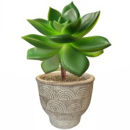 Doniczka betonowa mała boho beżowa 14,5 cm bez odpływu do roślin domowych