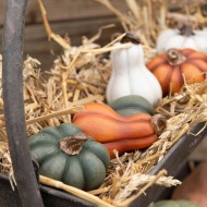 Zielone figurki dynie dekoracyjne, wodoodporne, komplet 2 szt. 5x8 cm i 6x4 cm