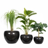 Zestaw 3 czarnych metalowych doniczek w połysku – styl loft, bez odpływu
