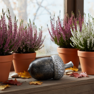 Figurka żołądź dekoracyjna srebrna 13 cm jesień i Boże Narodzenie