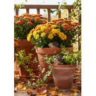 Ozdoba do doniczki jeże dekoracyjne na patyku zestaw 2 szt.