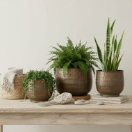 Eleganckie Doniczki Metalowe w Kolorze Złotym – Komplet Trzech