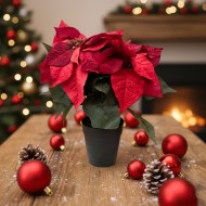 Sztuczna gwiazda betlejemska 28 cm w doniczce realistyczna dekoracja świąteczna